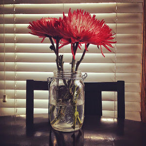 Meet your Posher, Mika elizabeth makarovich